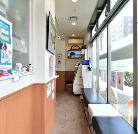 しおせ犬猫病院 待合スペース